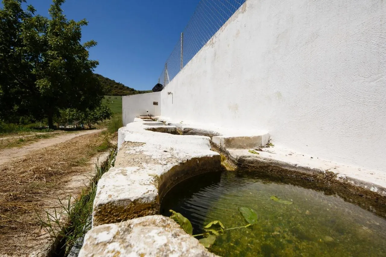 Villa Chopo Alhama de Granada
