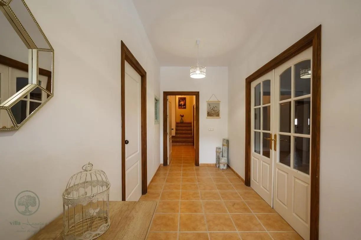 Villa Chopo Alhama de Granada Spain